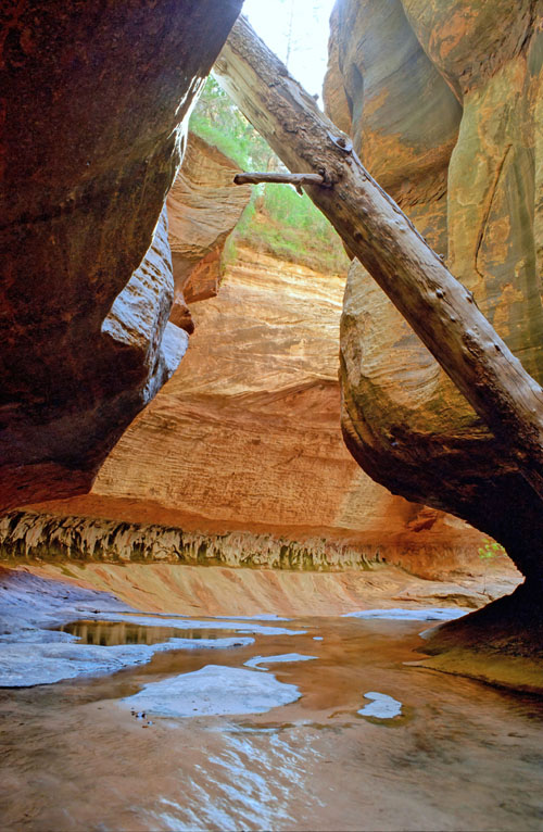 The Subway hike in Zion National Park, Utah